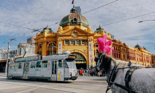 Falls Creek to Melbourne transfer snow coach service 